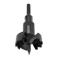 Foret standard &agrave; alimentation automatique, 3-5/8", Longeur de 6", Tige 7/16" hexagonal - Milwaukee 48-25-3621