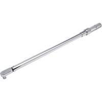 Fixed Head Micrometer Torque Wrench, Click, 1/2" Square Drive, 50-250 ft-lbs. - Proto J6013C