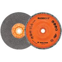 Brosse coupe de finition Blendex U, 5" dia., Grain Fin, Carbure de silicium - Walter Technologies Pour Surface 07U501