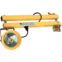 Dock Lights, Incandescent Light, 40" Arm - Tri Lite Mars DL40-P