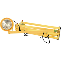 Dock Lights, Incandescent Light, 90" Arm - Tri Lite Mars DSDL90-P
