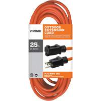 Extension Cords & Reels