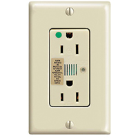 R&eacute;ceptacle protecteur contre les surtensions d'h&ocirc;pital duplex 120V, 15A - Leviton 8280-I