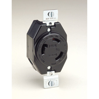 Industrial Grade Locking Device - Leviton 2610