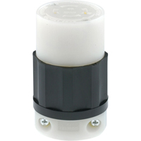 Industrial Grade Locking Device - Leviton 2413