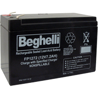 Blocs-piles scell&eacute;s au plomb-acide, 12 V, 7,2 Ah - Beghelli BA-12-7.2BB