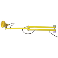 Lampes pour les quais, Ampoule Incandescente, Bras 60" - Tri Lite Mars DL60-P