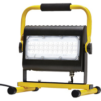 Flood Light, LED, 50 W, 4800 Lumens, Aluminum Housing - Probuilt Professional 411050