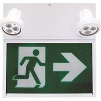 Enseigne de sortie coureur, DEL, &agrave; piles/&agrave; raccordement fixe, 12" lo x 12 1/2" la, Pictogramme - Beghelli SLRM636LU0LRM2SR5WLED