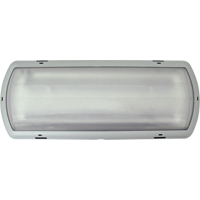Luminaire de secours Tempesta, Plastique, DEL, 120 - 347 V - Beghelli TA-LED-EM-120-347V-TB