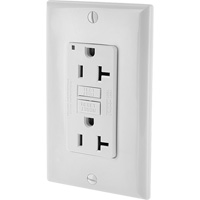 Prise DDFT Decora - Leviton GFNT2-W