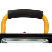 Projecteur portatif, DEL, 20 W, 2500 lumens, Boîtier en Aluminium - Outils Aurora 