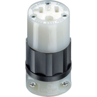 Industrial Grade Locking Connector, 5-20R, Nylon - Leviton 5369-C