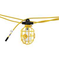 Chaînes de lumi&egrave;res DEL, 10 Lumi&egrave;res, 1200" lo, Boîtier en Plastique - Lind Equipment TLS-100CG14LED