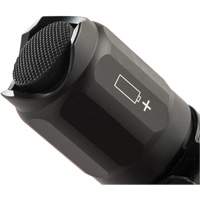 7000 Series Tactical Flashlight, LED, 774 Lumens, CR123 Batteries - Pelican 070000-0001-110