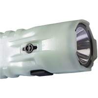 Lampe de poche, DEL, 378 lumens, Piles AA - Pelican 033100-0102-247