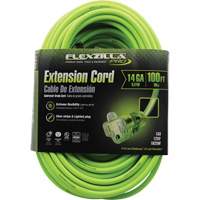 Cordon rallonge industriel Flexzilla Pro, Toutes saisons, SJTW, AWG 14/3, 15 A, 100' - Prime FZ512735