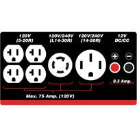 G&eacute;n&eacute;ratrice &agrave; essence/propane &agrave; d&eacute;marreur &eacute;lectrique - King Canada KCG-12001GE-DF