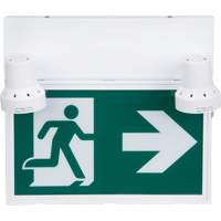Enseigne d'homme qui court avec &eacute;clairage de s&eacute;curit&eacute;, DEL, &agrave; piles/&agrave; raccordement fixe, 12-1/10" lo x 11" la, Pictogramme - Produits de sécurité Zenith 