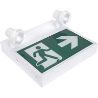 Enseigne d'homme qui court avec &eacute;clairage de s&eacute;curit&eacute;, DEL, &agrave; piles/&agrave; raccordement fixe, 12-1/10" lo x 11" la, Pictogramme - Produits de sécurité Zenith 