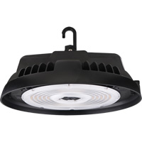 HBX2 Series High Bay, LED, 277 - 480 V, 300 W - Premise HBX2-3005-2