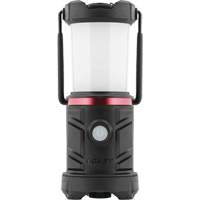 EAL13 Emergency Area Lantern - Coast 30579