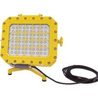 Diffuseur anti-d&eacute;flagration avec support pour plancher, DEL, 40 W, 5600 lumens, Boîtier en Aluminium - Lind Equipment XP980LED-FS