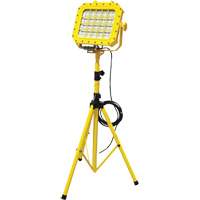 Diffuseur anti-d&eacute;flagration avec tr&eacute;pied, DEL, 40 W, 5600 lumens, Boîtier en Aluminium - Lind Equipment XP980LED-TR