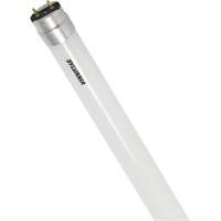 Ampoule DEL en verre givr&eacute; SubstiTUBE, 12 W, T8, 5000 K, 48" l - Sylvania 41277-594313811