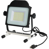 Projecteur, DEL, 100 W, 10000 lumens -  