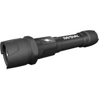 Lampe de poche pratiquement indestructible, DEL, 350 lumens, Piles AA - Rayovac ROVDIY2AA1