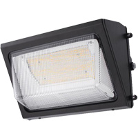 Wall Pack Light Fixture, LED, 120 -347 V, 80 W - Sylvania 63656