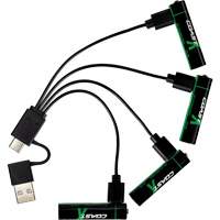 Batteries AAA rechargeables Zithion - Coast 30985