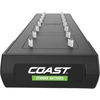 Poste de charge Zithion-X ZXCS16   - Coast 31190