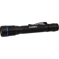 Lampe de poche IPX7, DEL, 250 lumens, Piles AA - Outils Aurora 
