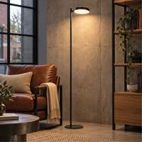  - Dainolite Ltd FIA-6030LEDF-MB