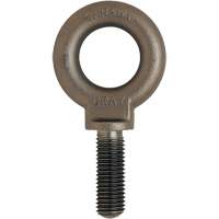 Boulon &agrave; œil, 3/4" dia, 1" lo, Fini naturel sans enduit, 650 lb (0,325 tonne) capacit&eacute; - Gray Tools BS08